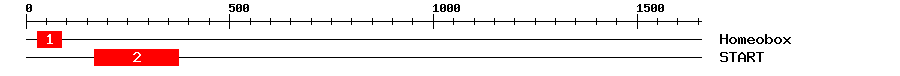 Signature Domain