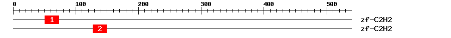 Signature Domain