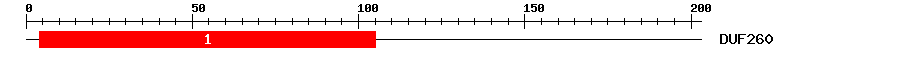 Signature Domain