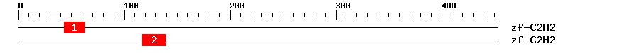 Signature Domain