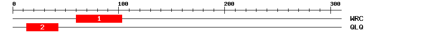 Signature Domain
