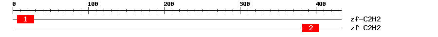 Signature Domain