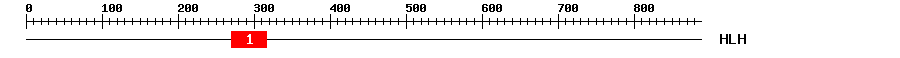 Signature Domain