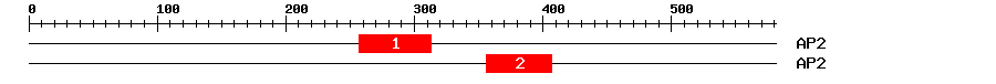Signature Domain