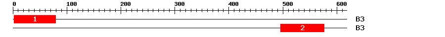 Signature Domain