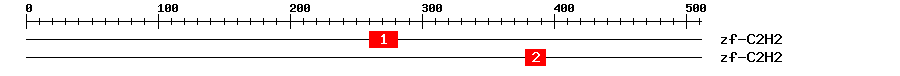 Signature Domain