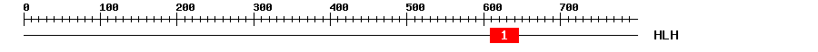 Signature Domain