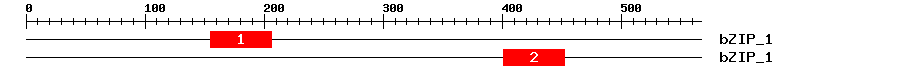 Signature Domain