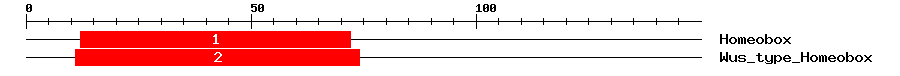 Signature Domain