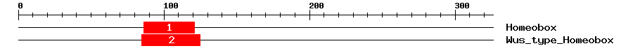 Signature Domain