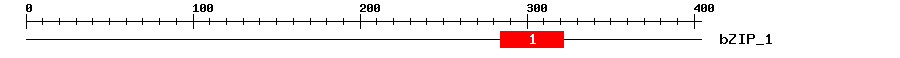 Signature Domain