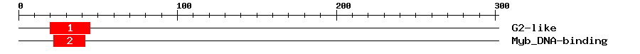 Signature Domain