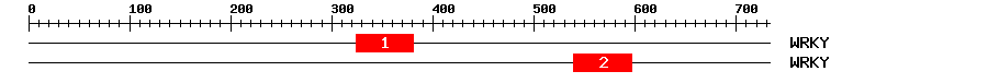 Signature Domain