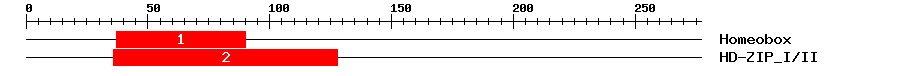 Signature Domain