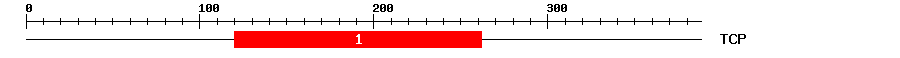 Signature Domain
