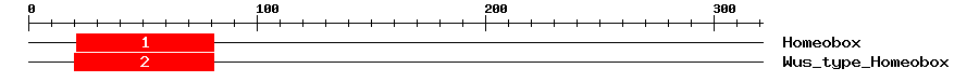 Signature Domain