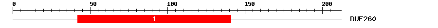 Signature Domain