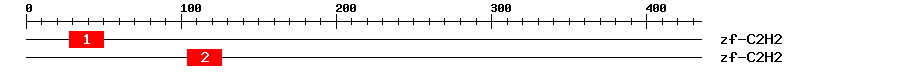 Signature Domain