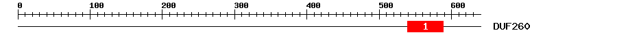 Signature Domain