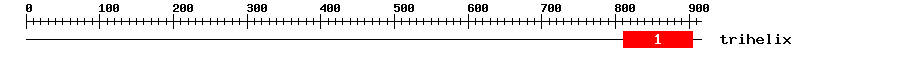 Signature Domain