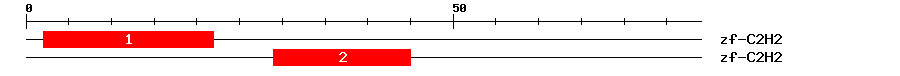 Signature Domain
