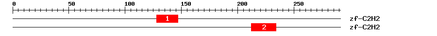 Signature Domain
