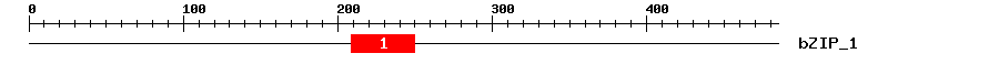 Signature Domain