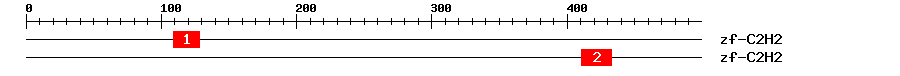Signature Domain