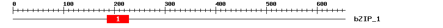 Signature Domain