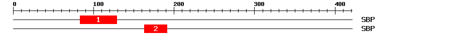 Signature Domain