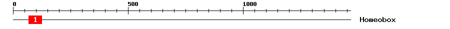 Signature Domain