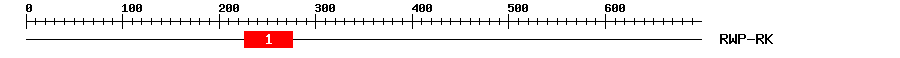 Signature Domain