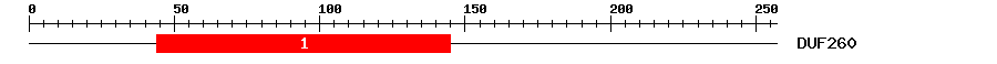 Signature Domain