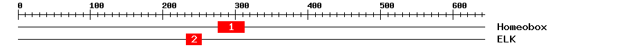 Signature Domain