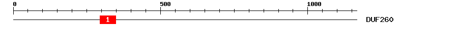 Signature Domain