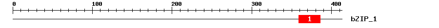 Signature Domain