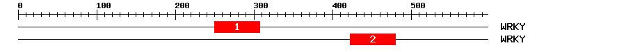 Signature Domain
