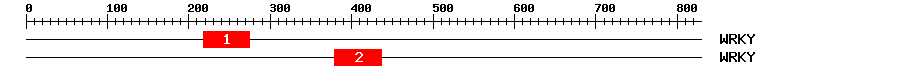Signature Domain