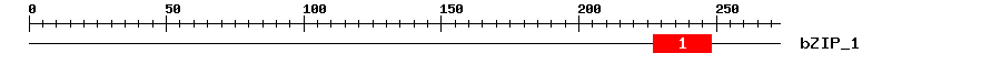Signature Domain
