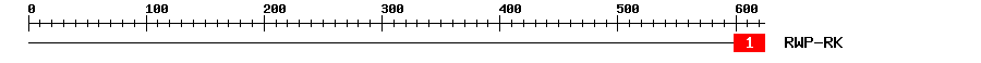 Signature Domain