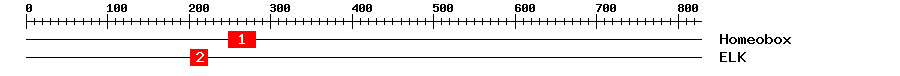 Signature Domain