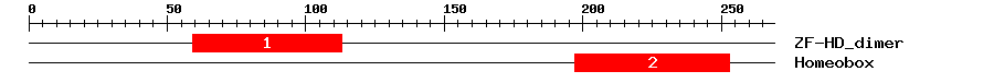 Signature Domain