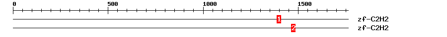 Signature Domain