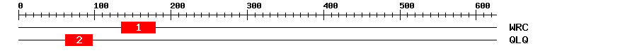 Signature Domain