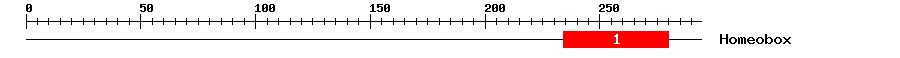 Signature Domain