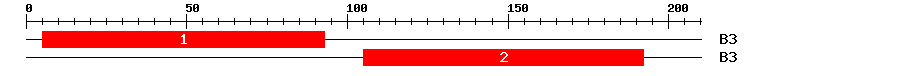 Signature Domain