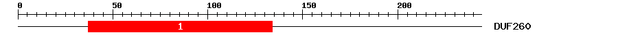 Signature Domain