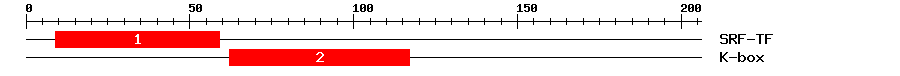 Signature Domain