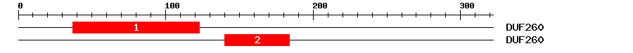 Signature Domain