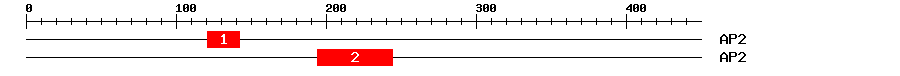 Signature Domain